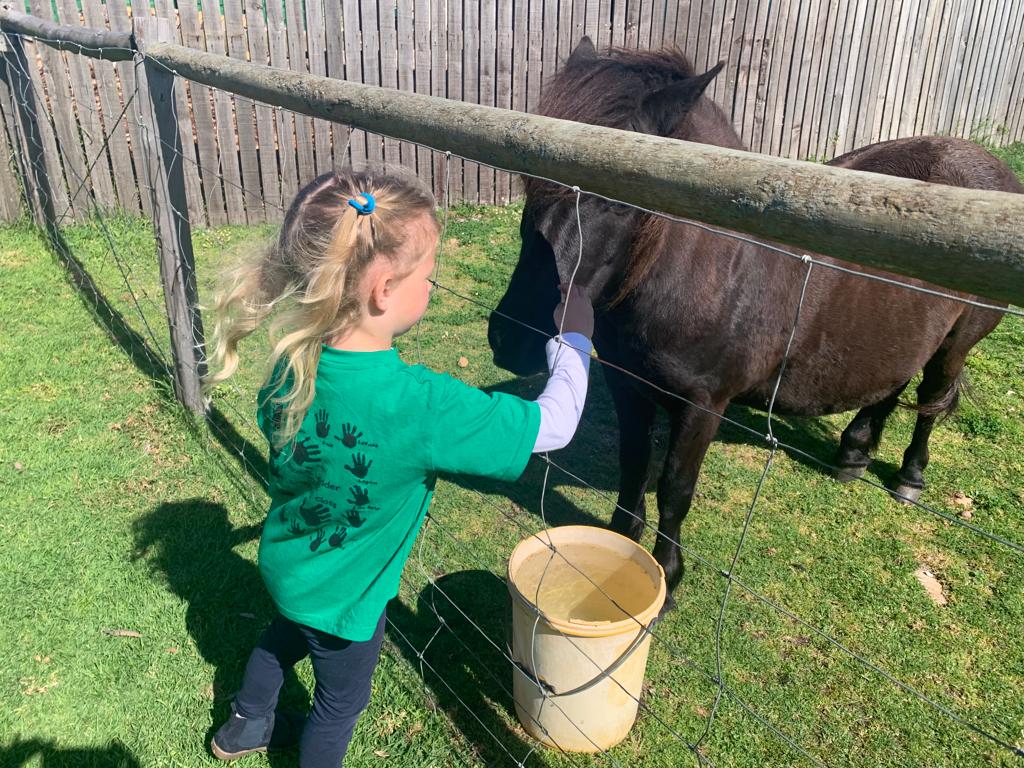 a393625d-9968-4b7f-bdcd-35b4e0555554